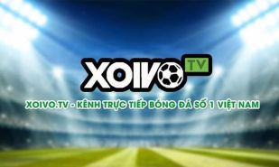 Xoivo là gì? Hướng dẫn cách xem bóng đá trực tiếp Xoivo tv
